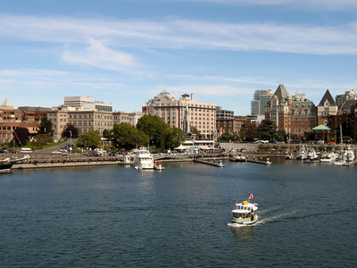 Cassels Murray website preview