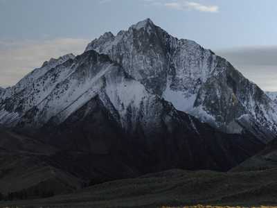 International Coach Directory website preview